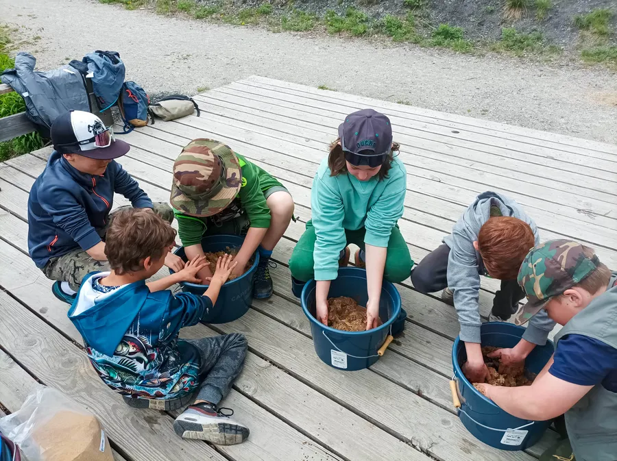 IMG_20250424_141750_resultat