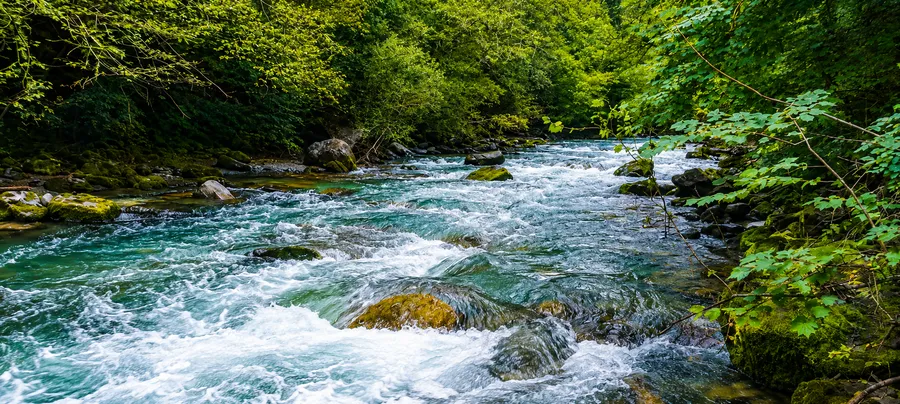 Guide de Pêche Savoie Haute Tarentaise - Chauvin Steven - Petite isere Guide de Pêche Savoie Haute Tarentaise - Chauvin Steven - Petite isere