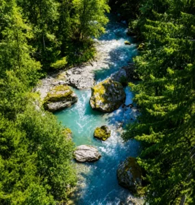 Guide de Pêche Savoie Haute Tarentaise - Chauvin Steven - Petite isere 4 Guide de Pêche Savoie Haute Tarentaise - Chauvin Steven - Petite Isère