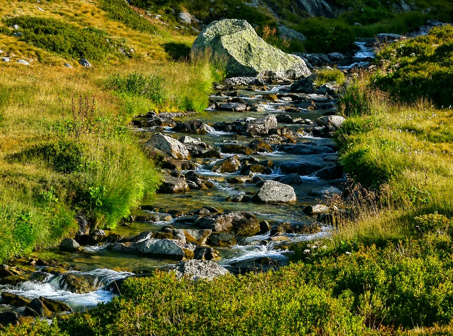 Guide de Pêche Savoie Haute Tarentaise - Chauvin Steven